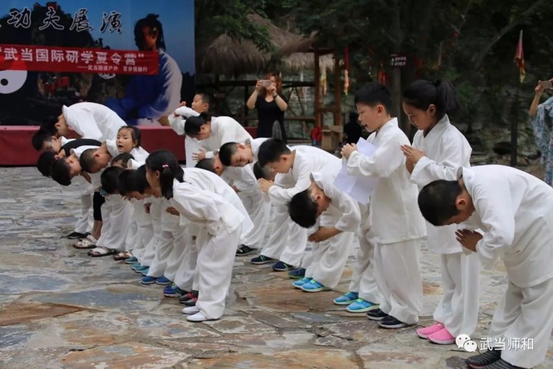 少林武术学校:传统文化传承与现代教育融合的力量